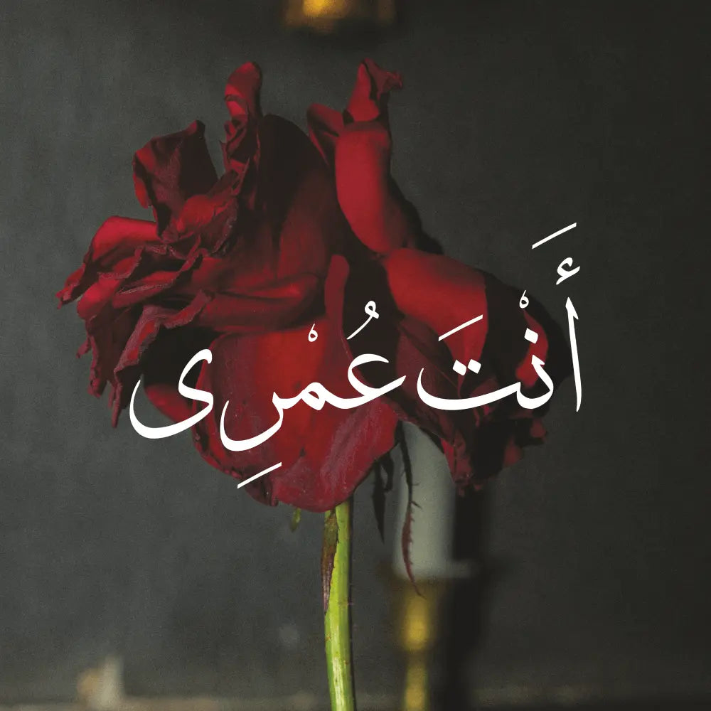 c- انت عمري